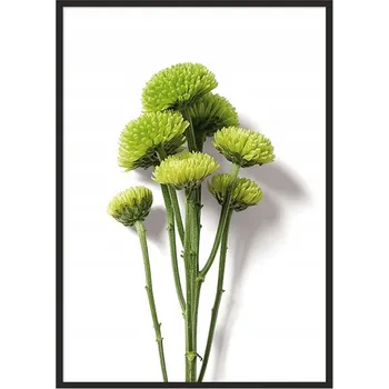 Obraz OBRAZ PLAKÁT V RÁMU 33x43 cm Květ P882