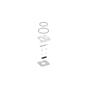 Kit: Valve Plate - 4123520062