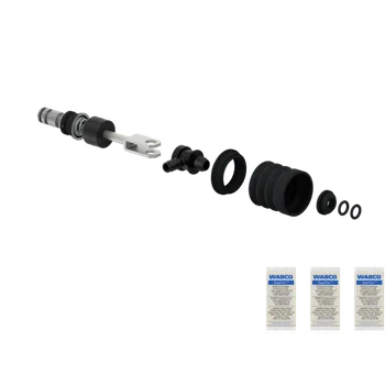 Kit: Check Valve + Piston - 300045001