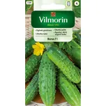 Vilmorin Okurka polní Borus F1 5 g