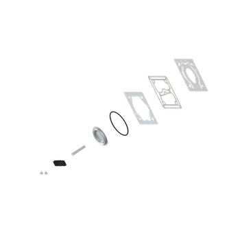 Kit: Valve Plate - 9111559202