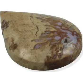 Drahý kámen Zkamenělý korál kapka