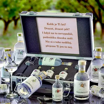 Dárkový potravinový koš Slivovice, Višňovice, Meruňkovice, Williams Dárkový koš v kufru pro muže, originální dárek pro muže k narozeninám, vánocům, valentýnu Standardní víko