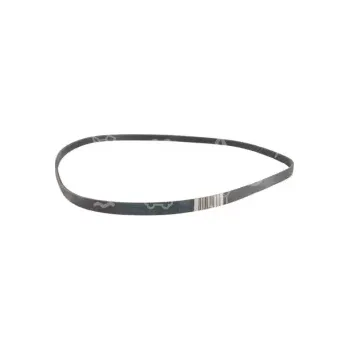 Příslušenství pro kuchyňský robot řemen vícedrážkový 1076 J5, WHIRLPOOL, 1009-513