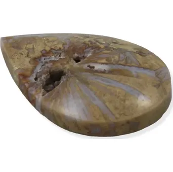 Drahý kámen Zkamenělý korál s chalcedonem – kapka