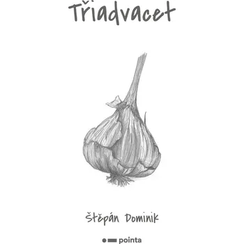 Kniha Třiadvacet - Štěpán Dominik (E-Kniha)