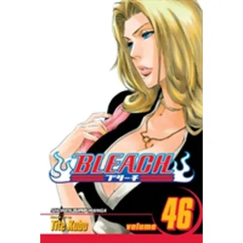 Bleach 46 (anglicky) - Kubo Tite