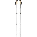 Hole Black Diamond ALPINE CARBON CORK TREK POLES Tundra 130