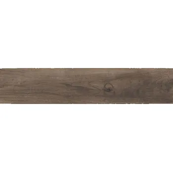 Dlažba EBS Aspen dlažba 20,5x100 Brown