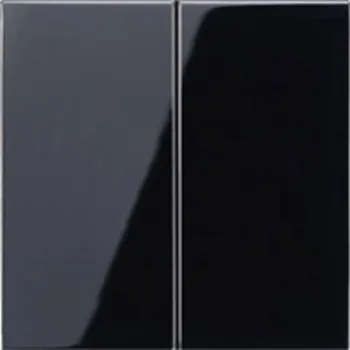 Příslušenství pro svítidlo JUNG AKCE - Kryt dvojitý vypínač, sériové tlačítko černá LS995SW - JUNG JU LS995SW