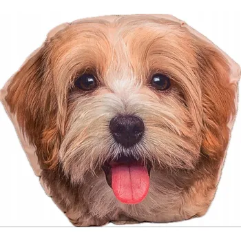 plyšák PLYŠOVÝ MAZLÍČEK PŘÍTULNÍČEK PRO DĚTI 30x30 CM - PEJSEK - ANTI-ALERGICKÁ MĚKKÁ