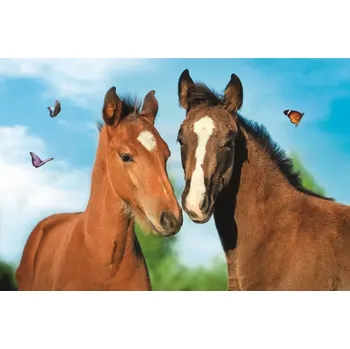 Puzzle TREFL Puzzle Roztomilá zvířátka: Pár koní 54 dílků