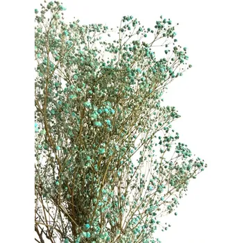 umělá květina Nevěstin závoj/stabilizovaná Gypsophila svazek/kytice tyrkysová/zelenomodrá 45g
