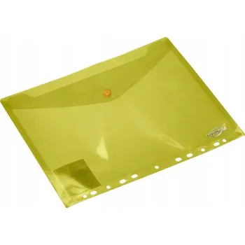 Pořadač / Organizér A4 Titanum