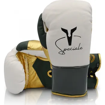 Boxerské rukavice Boxerské rukavice Ares Speciale - bílé / zelené