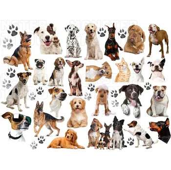 Tetování DĚTSKÉ OMYVATELNÉ TETOVÁNÍ DOČASNÉ PSI PEJSCI SADA