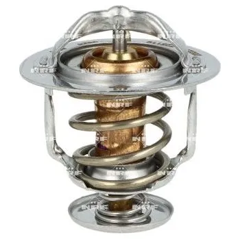 Těsnění motoru Termostat, chladivo NRF 725119