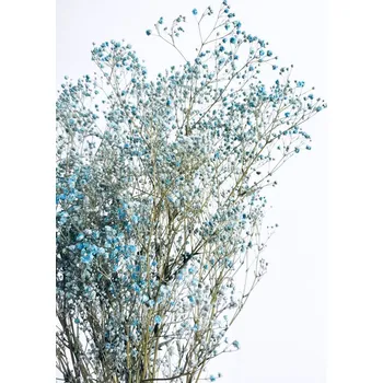 umělá květina Dovoz z EU nevěstin závoj 65 cm - 70 cm jasně modrá/azurová