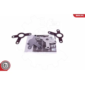 Ventil palivového systému SKV Sada na opravu, ventil AGR 14SKV565