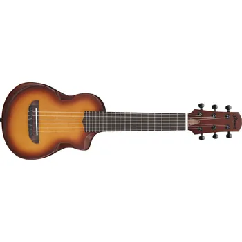 Akustická kytara Ibanez AUP10N Light Brown Sunburst + prodloužená záruka 3 roky