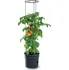 Květináč Prosperplast Tomato Grower IPOM350-S433 35 cm antracit