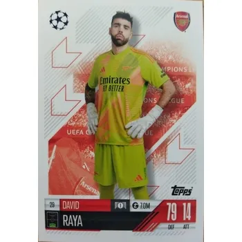 Sběratelská karetní hra David Raya