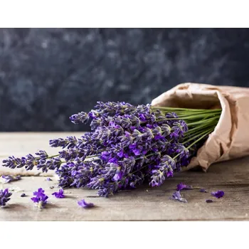 Levandule Extra - vonný olej 10 ml