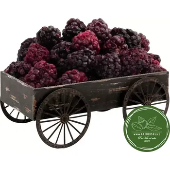 Sušené ovoce Ostružiny - lyofilizované 1kg (Ostružiny sušené mrazem)