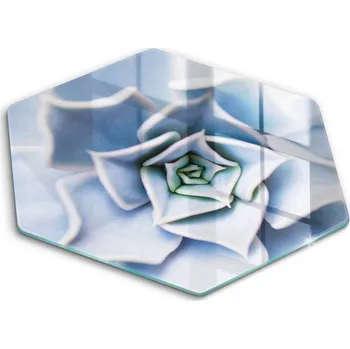 Obraz Krájecí deska Wallfluent sklo 1 ks