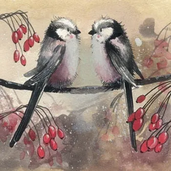 Přání v obálce Longtails, Ptáčci od ALEX CLARK 14*14 cm (Blahopřání ptáčci, ptáček, )