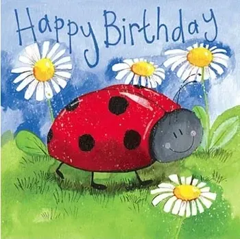 Přání v obálce Little ladybird, beruška od ALEX CLARK 14*14 cm (Blahopřání)