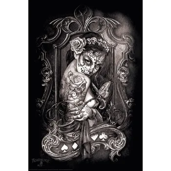 Plakát Plakát, Obraz - Alchemy - Widow's Weeds