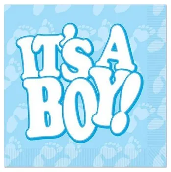 Papírový ubrousek Papírové ubrousky je to kluk 33x33cm 16ks - Cakesicq