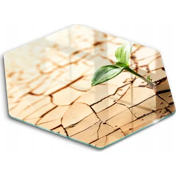 Kuchyňské prkénko Krájecí deska Wallfluent sklo 1 ks