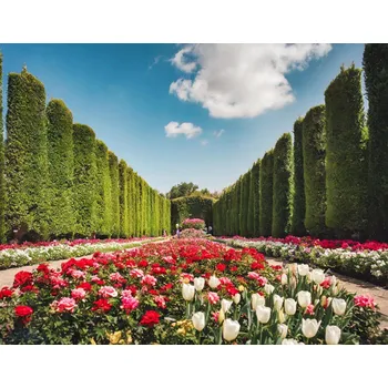 Zahrada lásky - vonný olej 10 ml