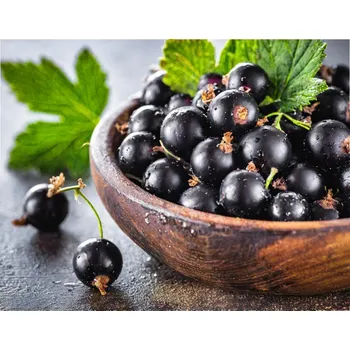 Černý rybíz - vonný olej 100 ml