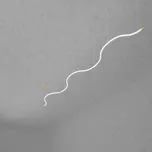 ZAHO Závěsné LED svítidlo MESMO SD1, 75W, d. 5000 mm Barva: Zlatá, Teplota světla: 2700K - teplá bílá, Stmívání, řízení: Casambi