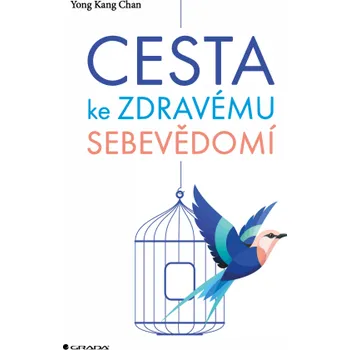 Kniha Cesta ke zdravému sebevědomí - Chan Kang Yong