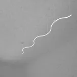 ZAHO Závěsné LED svítidlo MESMO SD1, 75W, d. 5000 mm Barva: Šedá, Teplota světla: 3000K - teplá bílá, Stmívání, řízení: Casambi