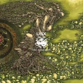 Zahraniční hudba CD U.S. Christmas: The Valley Path 2011