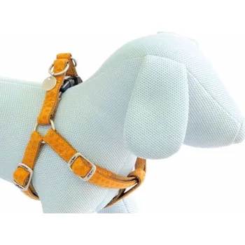 Postroj pro psa Postroj Mylord béžový 1x25-40 cm