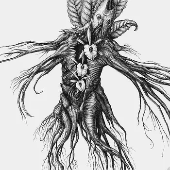 Niccolo Machiavelli: Mandragora Audiokniha