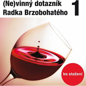 (Ne)vinný dotazník Radka Brzobohatého 1. Audiokniha