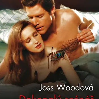 Kniha Dokonalý scénář Ekniha