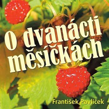 František Pavlíček: O dvanácti měsíčkách Audiokniha