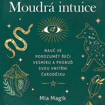 Kniha Moudrá intuice Ekniha