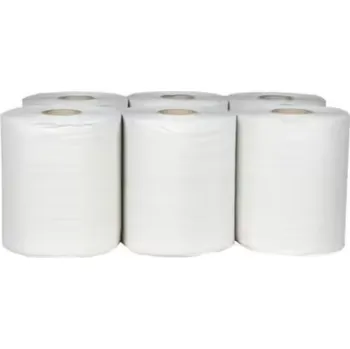 Papírový ručník Papírové ručníky v roli MAXI 160m/21cm/2vr celulóza 6ks, duť.3,8, bez perforace