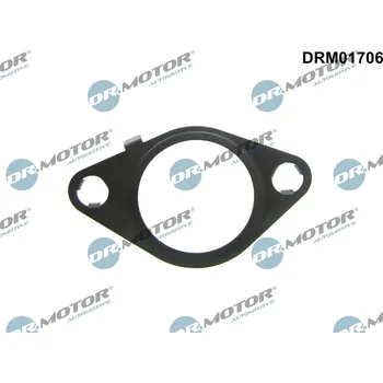Automobilové těsnění Těsnění, AGR ventil Dr.Motor Automotive DRM01706
