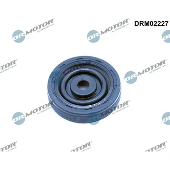 Těsnění motoru Těsnicí kroužek hřídele, klikový hřídel Dr.Motor Automotive DRM02227