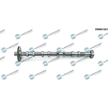 Vačková hřídel Vačkový hřídel DR.MOTOR DRM01281